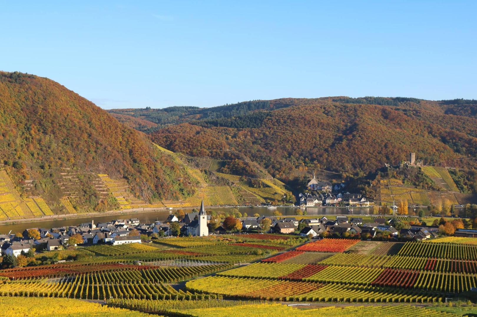 Weingut Fuhrmann Burg