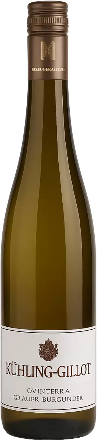 Qvinterra Grauer Burgunder Rheinhessen QW 2025