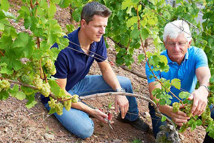 Weingut Emrich-Schönleber